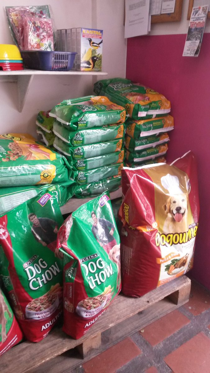 ianimalandia's tweet photo. Llegó  perrarina dog chow, super can,  02125243362 https://t.co/fUjczNq1PB