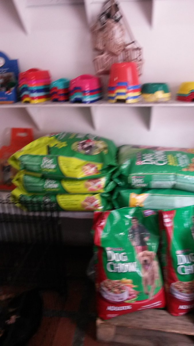 ianimalandia's tweet photo. Llegó  perrarina dog chow, super can,  02125243362 https://t.co/fUjczNq1PB