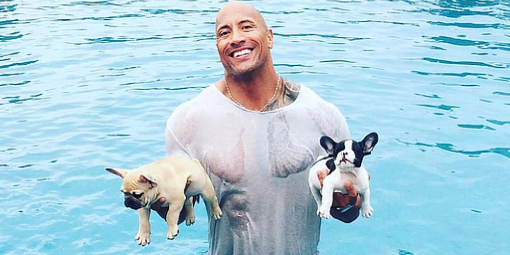 Do_it_Like_'s tweet photo. https://t.co/9gOzgChoLr - The Rock Rescues Drowning Puppies, Cements Baywatch Status #motivation #productivity https://t.co/x8Jjue1Hgh