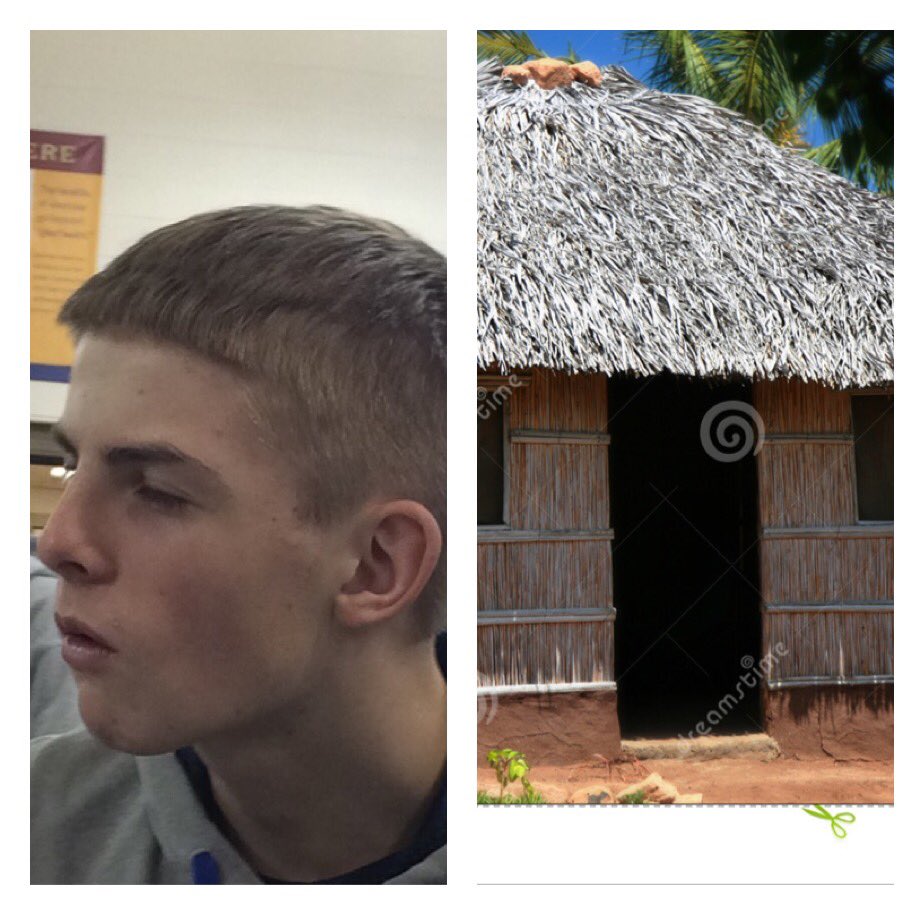 ClebSwagner's tweet photo. Mark's hair or straw hut? https://t.co/hMHNRIaPx1