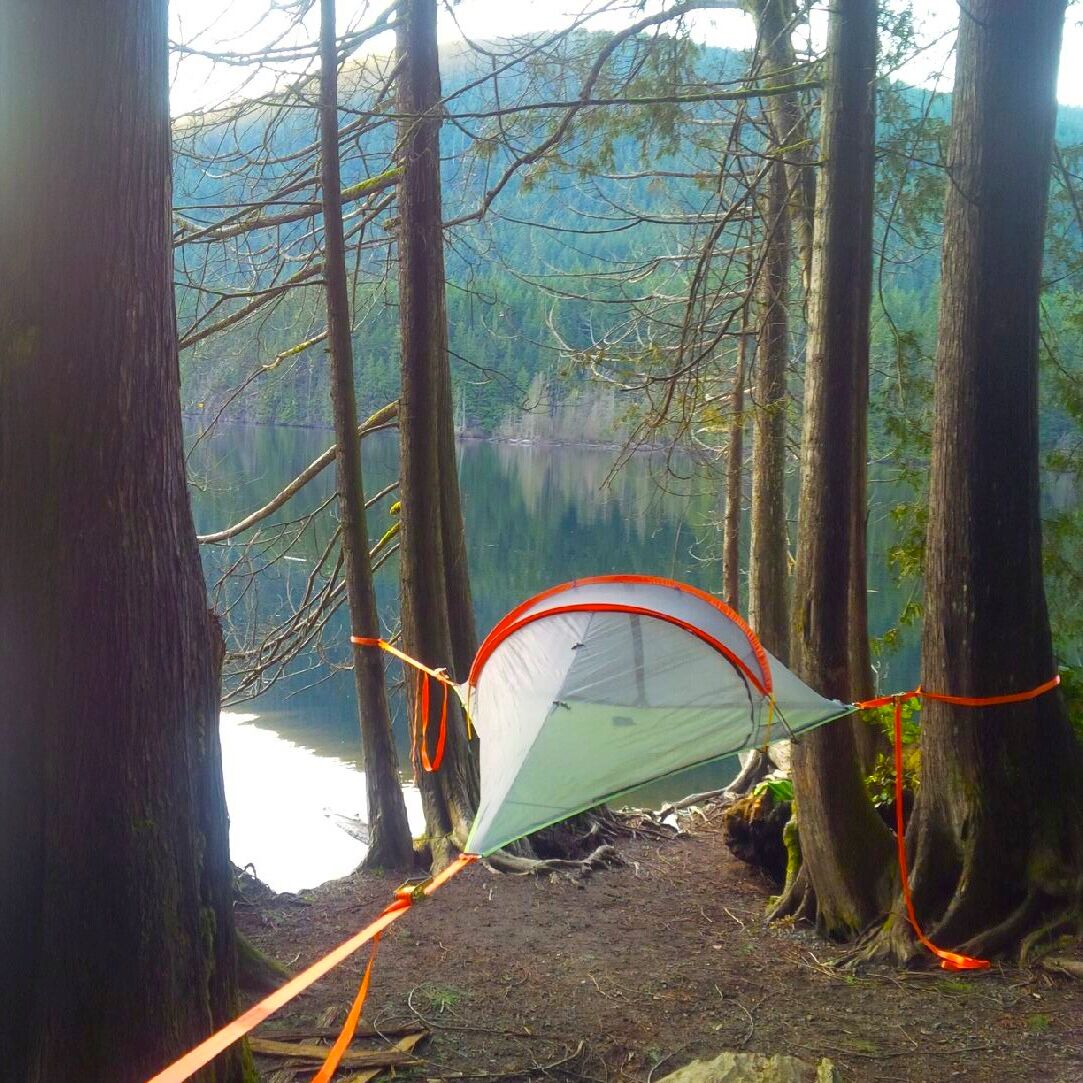 younvluoli000's tweet photo. #tentsile #tree #tents provide increased separation from bugs snakes and larger predators https://t.co/bFiBNoFuqd https://t.co/315sq4oObX
