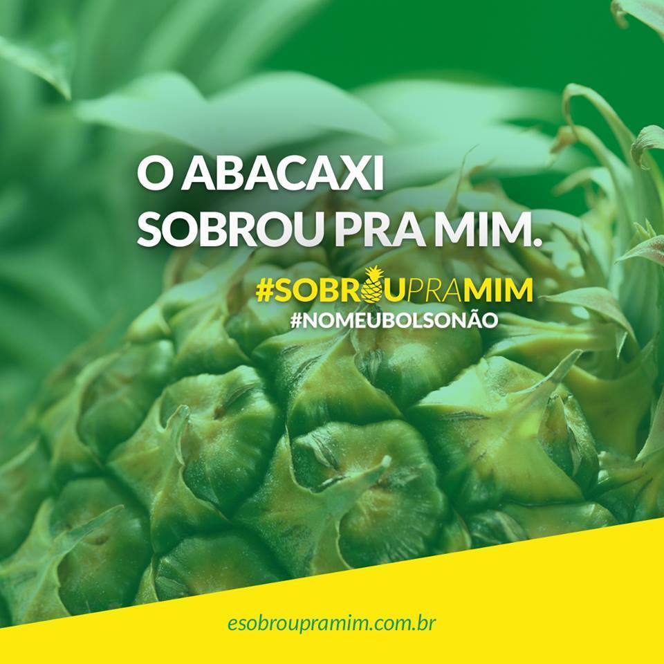 sobroupmim's tweet photo. #NoMeuBolsoNão https://t.co/uHGOietXVS