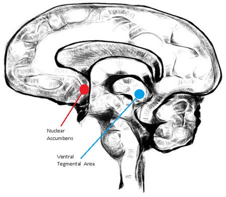 StreamFeedFM's tweet image. Does listening to #music actually make you better at your job? bit.ly/1TdOnTm