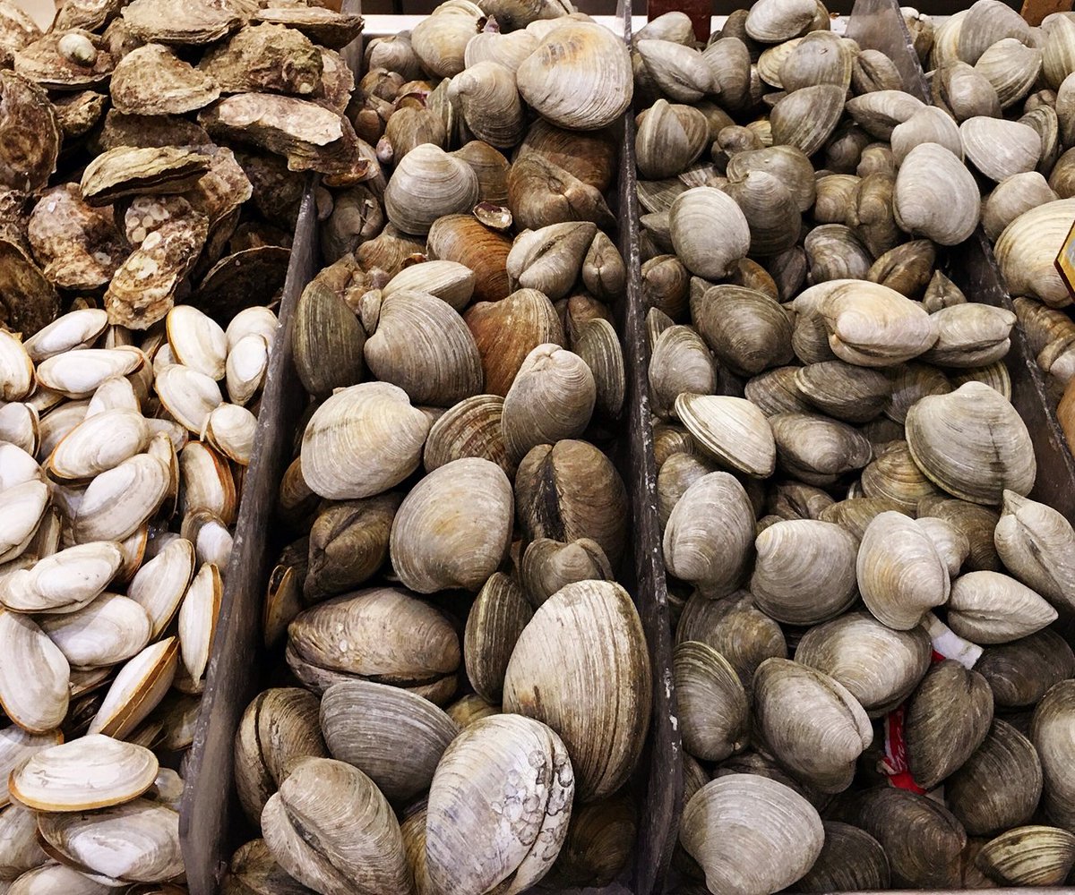 unclegiuseppes's tweet photo. We are as happy as a #clam this week - all #LongIsland #LittleNeck, #TopNeck, and #Chowder #Clams are $4.99 / dozen! https://t.co/monxWbBfM6