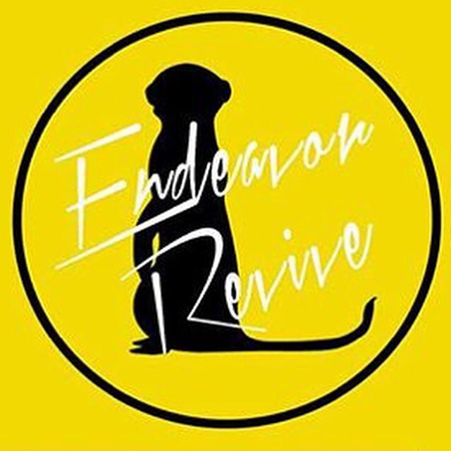 ReviveFam's tweet photo. Tim to represent!!! Wear your black and gold!! Doors open at 6:45 #ReviveFam @emmanuelYOUTHmn https://t.co/CiB8C0Eygi