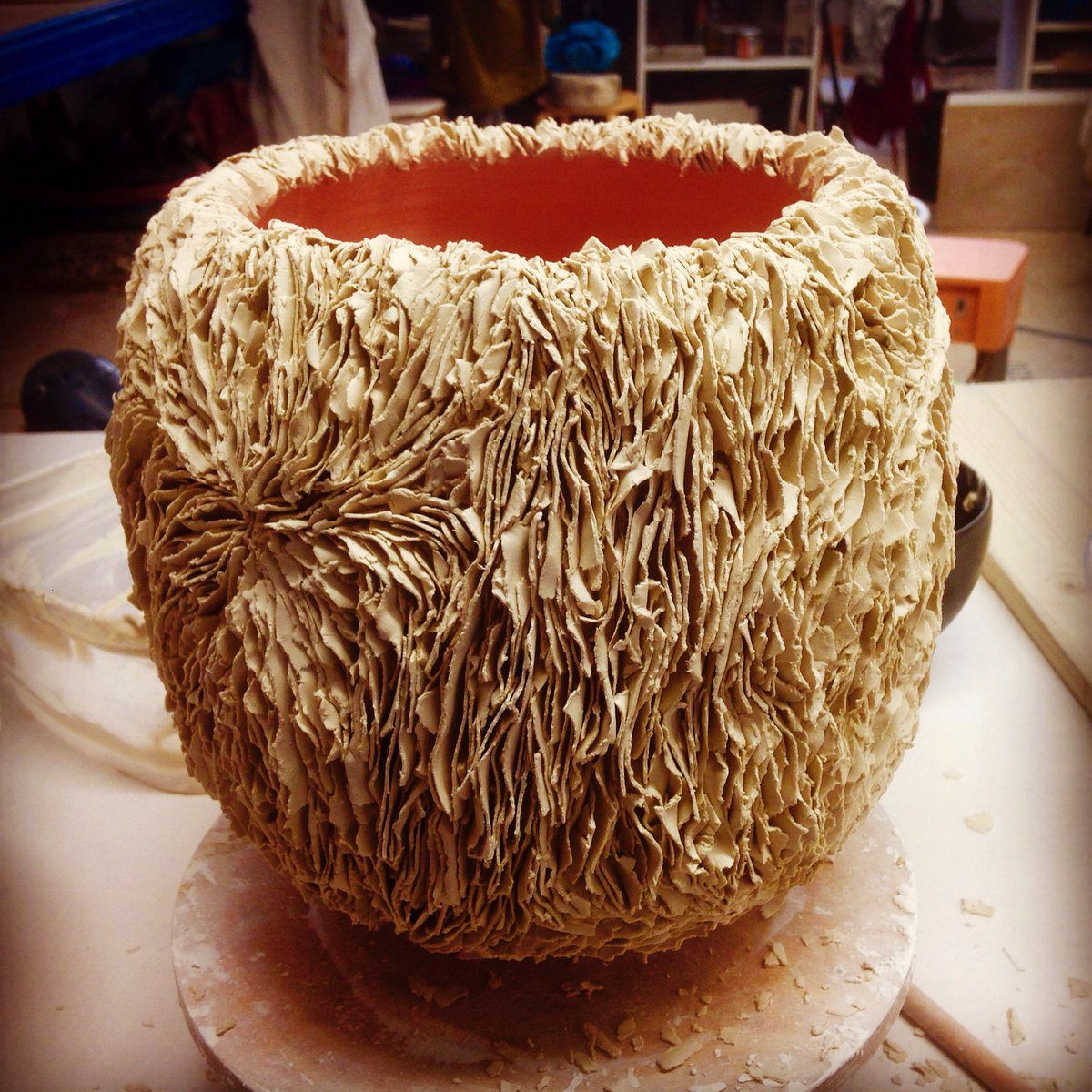 Olivia Walker tweet media