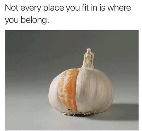 MensHumor's tweet photo. TRUTH https://t.co/bSIfnezv4o