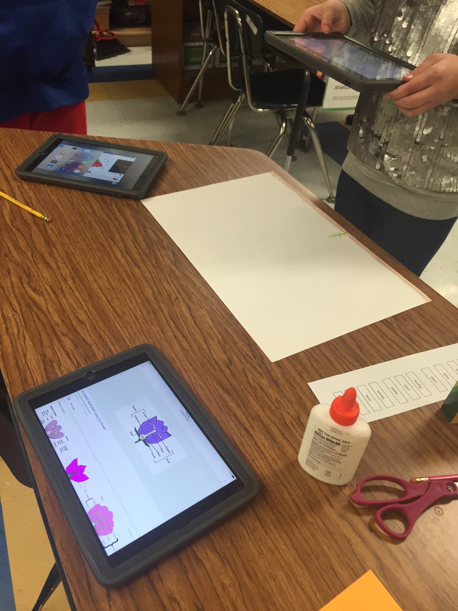 KCSlearning2020's tweet image. Pinch Elem 4th and 5th graders using time lapse photography to show a flower growing and label the parts. #DLDay