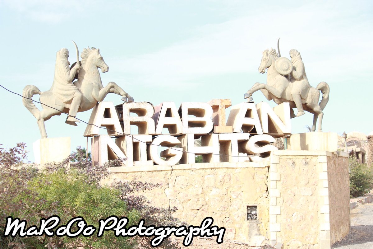 MaROPhotoGraph tweet picture