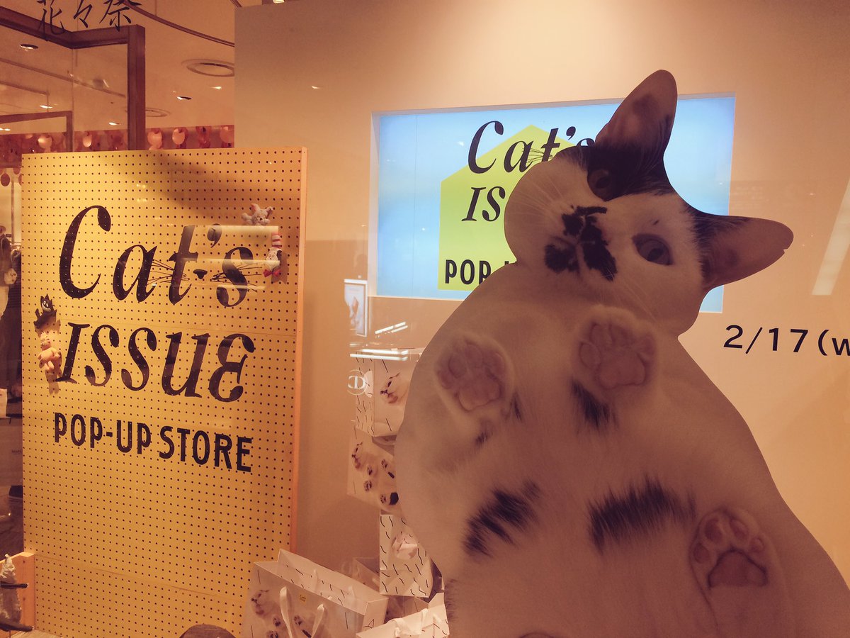 onodera_nana's tweet image. 伊勢丹で #catissue ♥︎