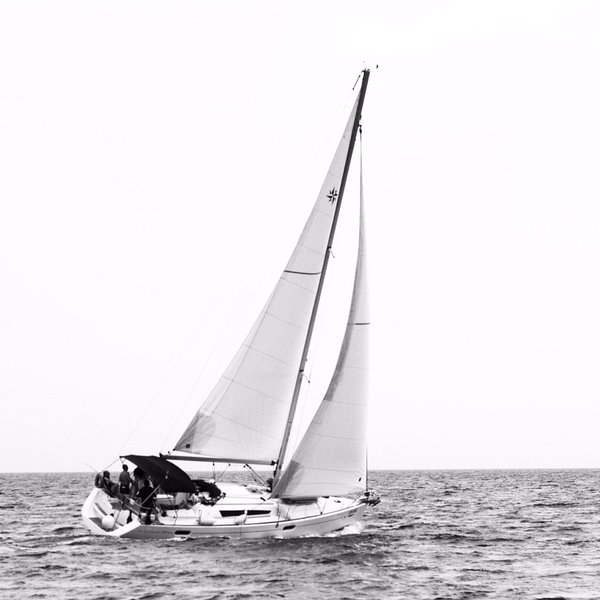 relationsea tweet picture