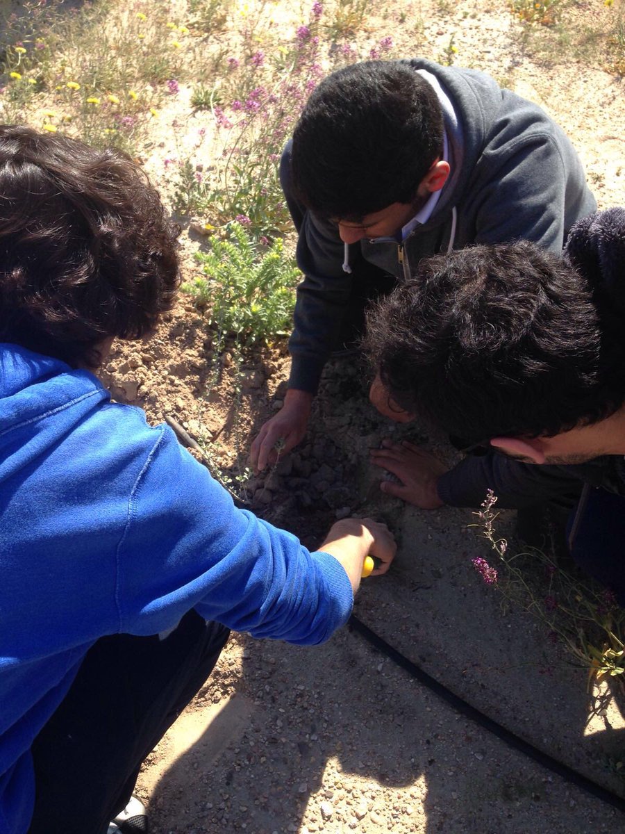 ACAHSBC's tweet photo. ACA-NHS students serving the community through restoration of the desert for the Liwah Eco-project. https://t.co/FDRQ8Yf4kY