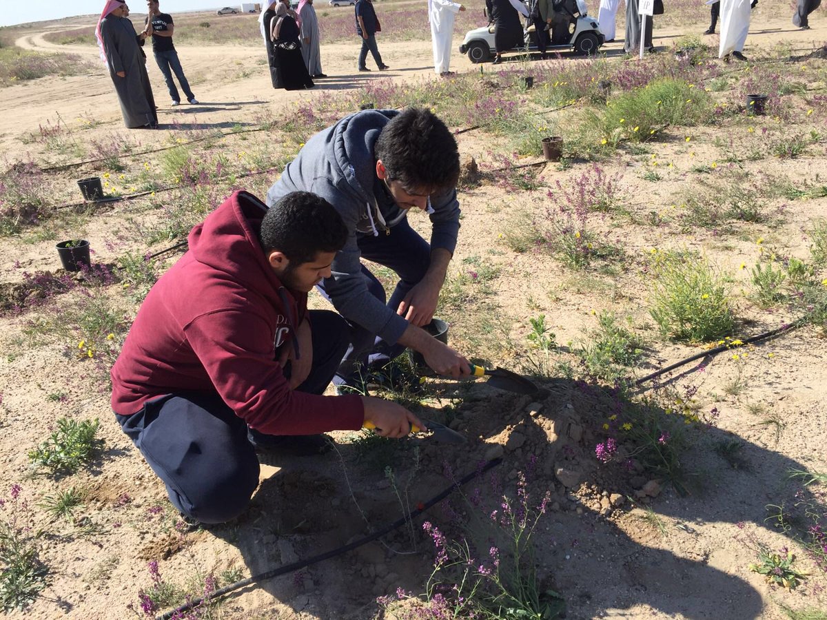 ACAHSBC's tweet photo. ACA-NHS students serving the community through restoration of the desert for the Liwah Eco-project. https://t.co/FDRQ8Yf4kY