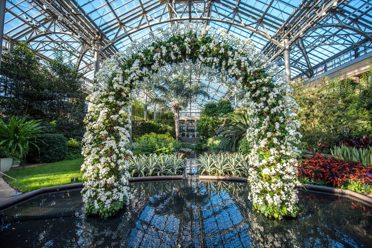 longwoodgardens's tweet photo. The 12 foot Orchid Arch in our East Conservatory is comprised of 600 Phalaenopsis orchids. https://t.co/rZLcFFyxYf