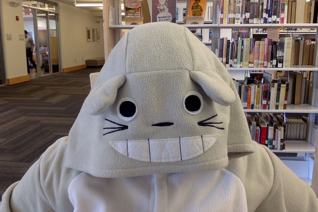 liblizz's tweet photo. Pajama day at school is the best. It is the only day I can dress like Totoro, catalog French films, and fit in. https://t.co/AtHlmiwvvO
