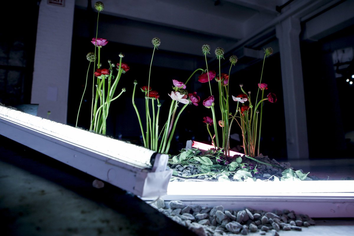 hcbackstaged's tweet image. The set at Rodarte Fall 2016