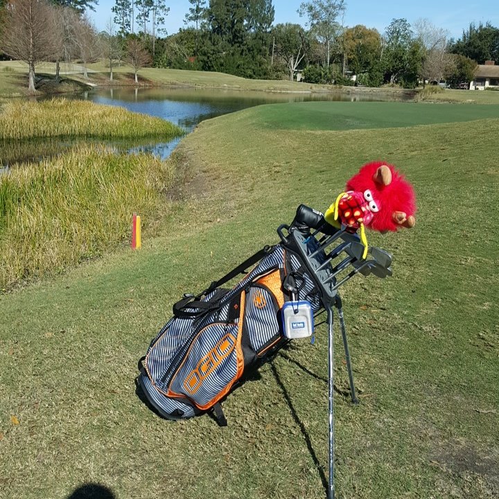 Maurice Allen tweet media