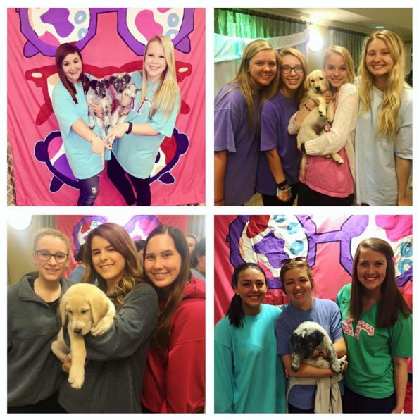 deltagamma's tweet photo. Puppies + #ServiceForSight = Best Day EVER. #PUPPYOCALYPSE2016: What a great way to fundraise @USMdeltagamma! https://t.co/VNJ81NSAL3