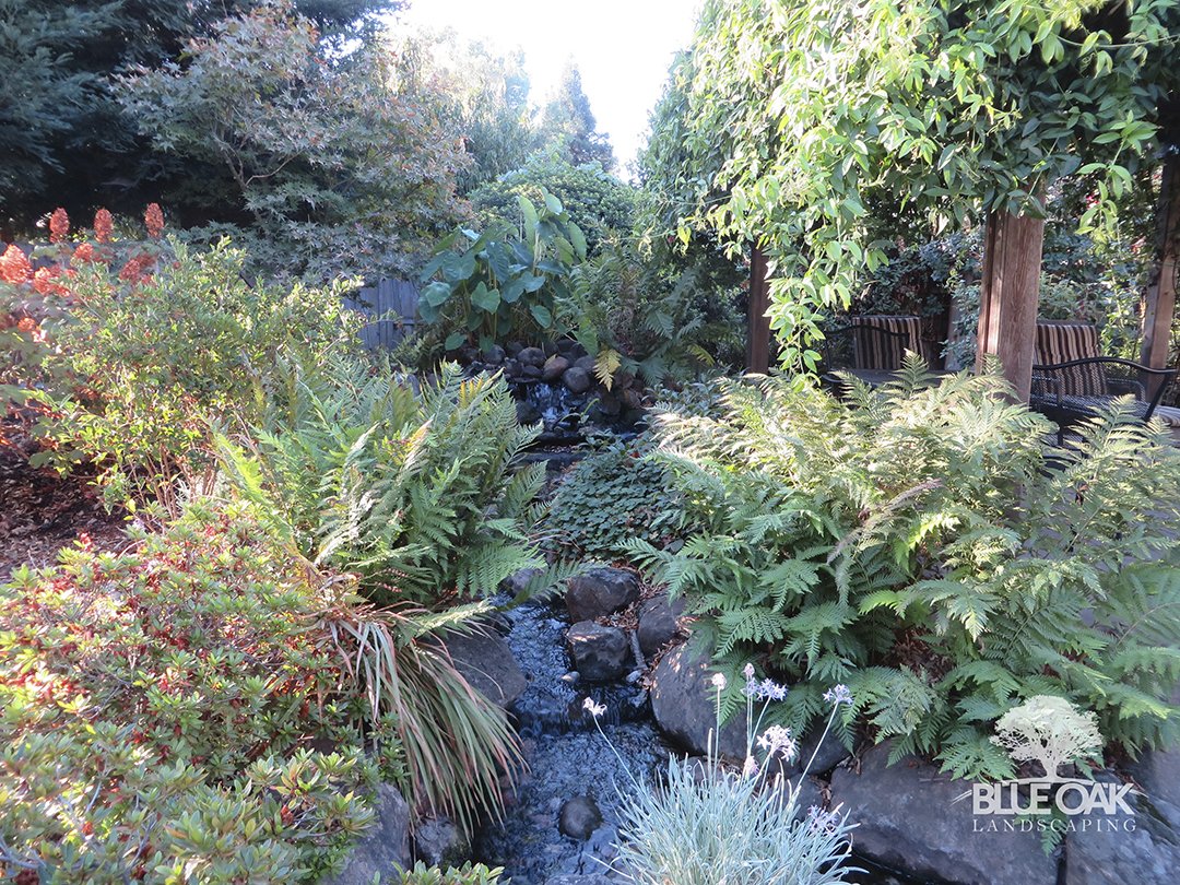 BlueOakScaping tweet picture