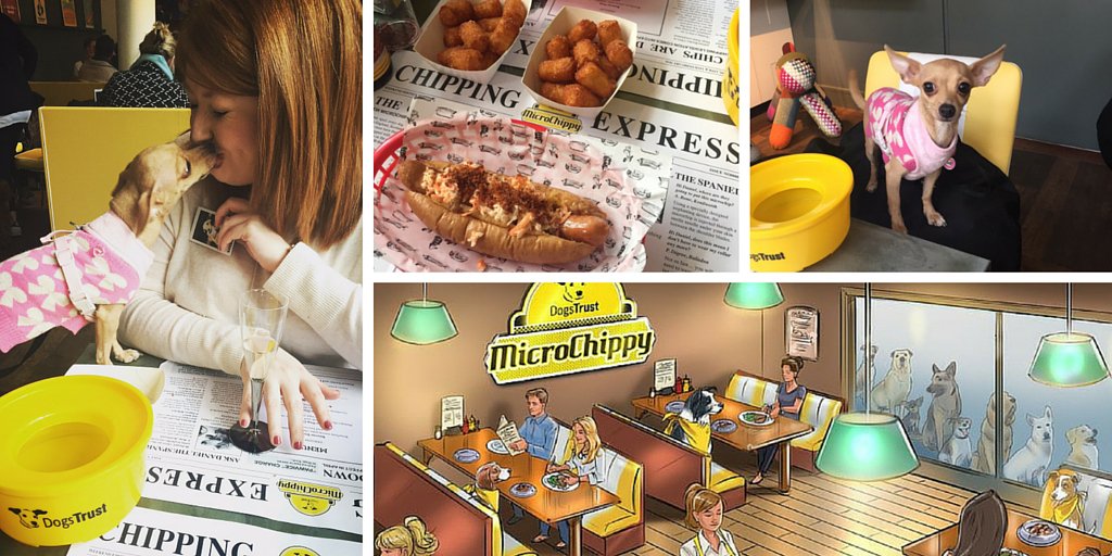 TheDrum's tweet photo. Puppy love: @yvonne_RAR's Valentine's date at @DogsTrust's MicroChippy pop-up https://t.co/gkOhJo932E https://t.co/fGDaFWpYKd