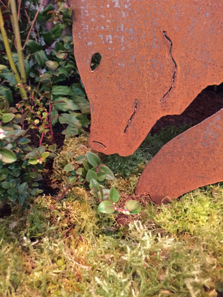 Bears eating huckleberries <a href="/NWFGS/">Northwest Flower & Garden Festival</a> starts TODAY! #seatoshiningsea #nwfgs #fancyplants #springinfeb #seattle #garden
