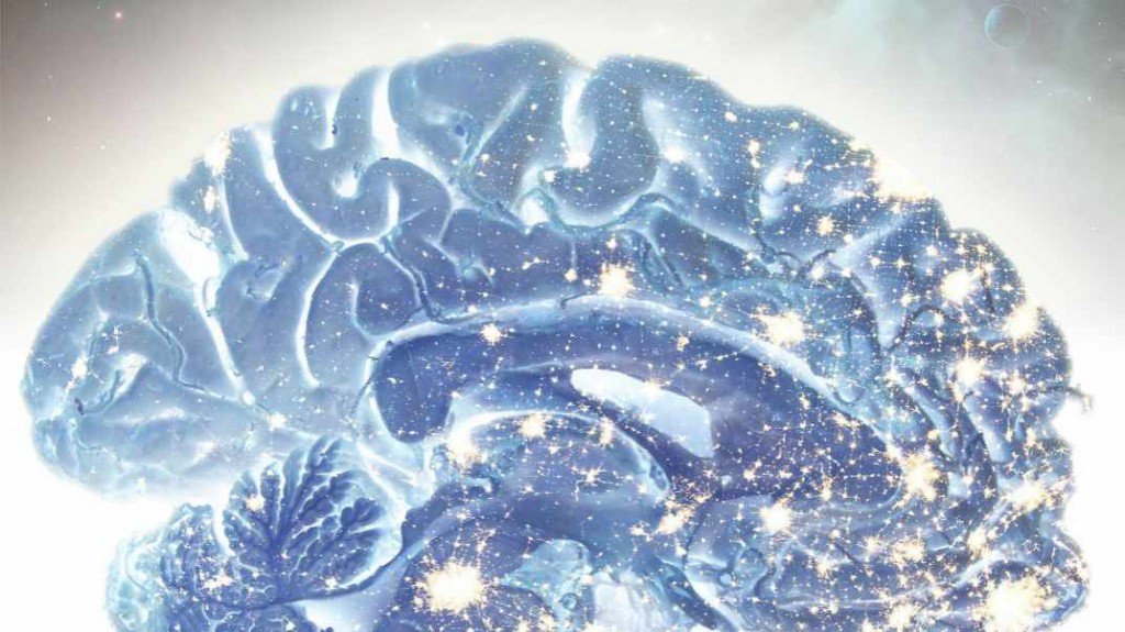 MayoClinic's tweet photo. Blackouts in the Brain: A new complex systems perspective on #Alzheimers Disease https://t.co/iy4VlLC7Pj https://t.co/6B16xZnqTo