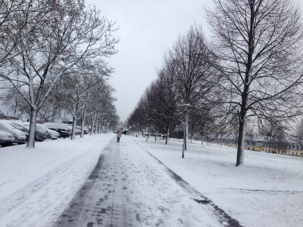 Nirvana Marting (@nirvmart) on Twitter photo 