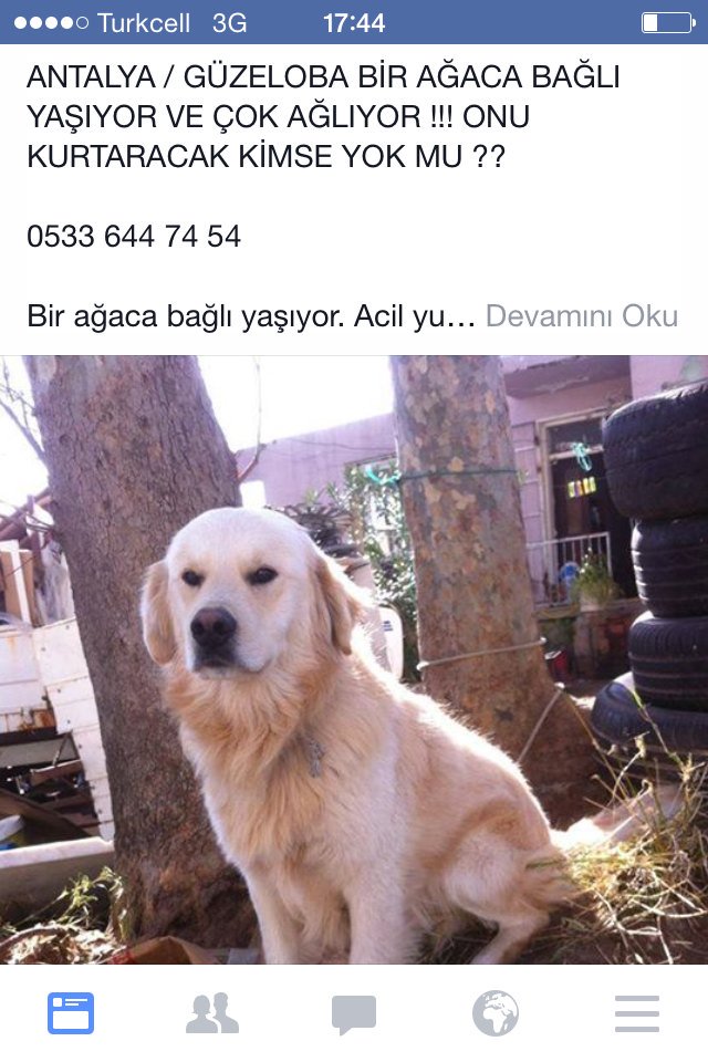 Leyla Eker tweet media