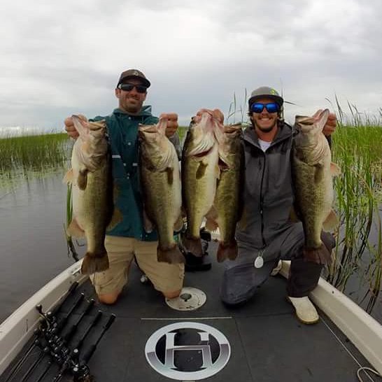 southfloridah2o's tweet photo. https://t.co/eJaeAbecUy #Freshwater #Bass #SimplifiedRules #Measure #BassareintheGrass https://t.co/i76d7LShhx