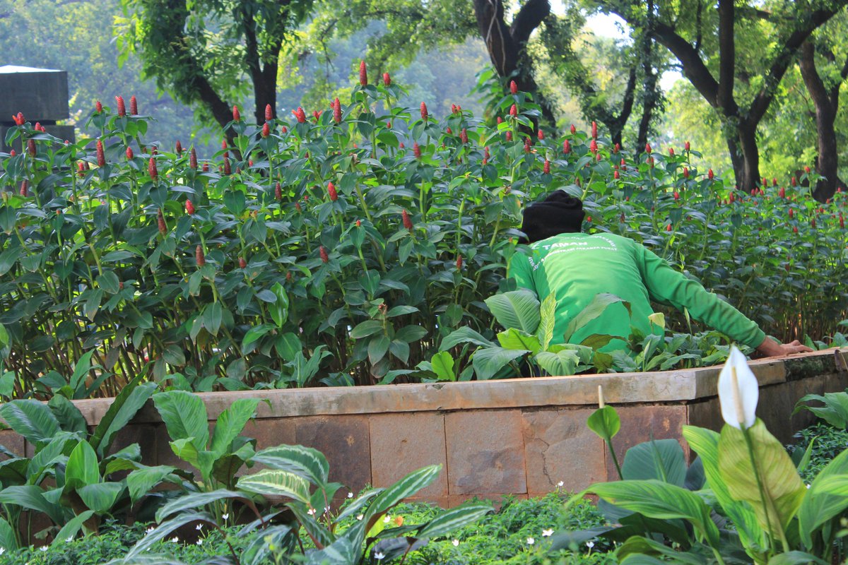 MuhFaatih's tweet photo. @smention_2016 "The Gardener" #SMENTION2016 #ProtectOurEarthProtectOurFuture https://t.co/W0mJ5BCGz8