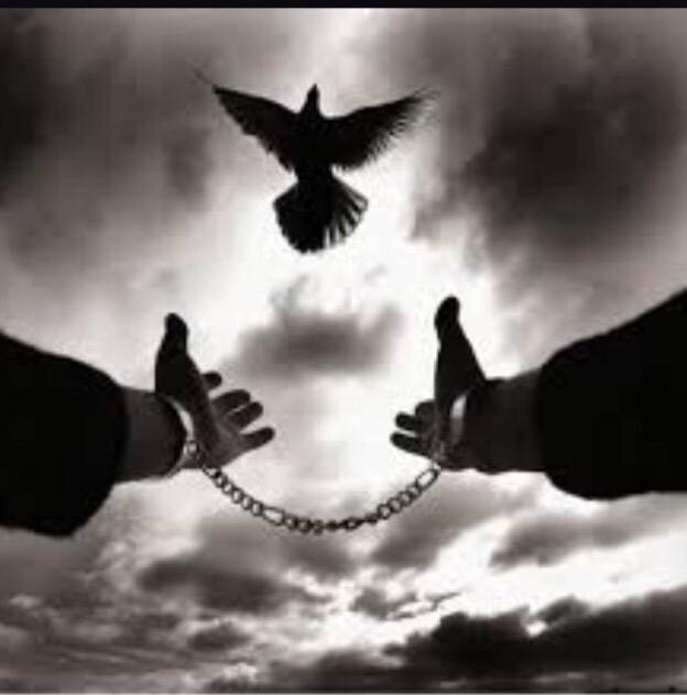 cufydydydyfufuf's tweet image. ﴿ شفنآ وعفّنآ ، وآلتجآرب تخليگہ ﴾ 
  مآ تحزن لمقفي ولآ تفرح لجآي ! ˻ 
•
•
                #قروب_سحر_القصايد