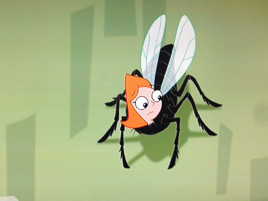 itsAgent_F's tweet image. "Baby, you can have it all, when you're a fly on the wall!" ~This is my favorite episode!

@mmonogram @DanPovenmire
