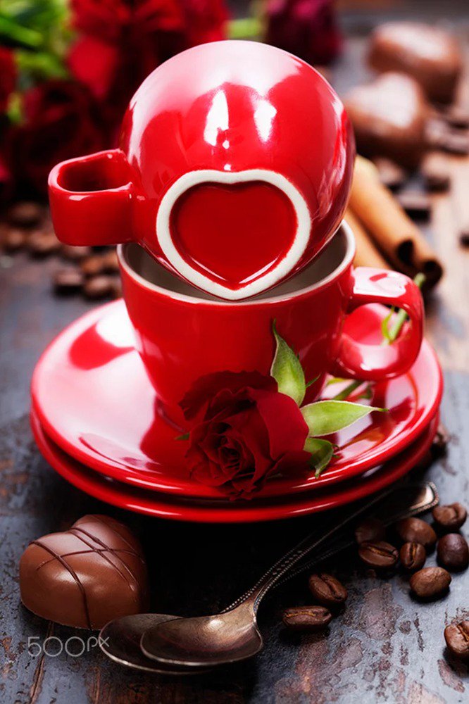 IdiesAli's tweet photo. "@RBonheur: كم هو كبير حجم النعم التي نغفل عن شكرهـــــــــا
فقط لأننا إعتدنا عليها ولم نجرب الحياة بدونها https://t.co/nz0PHzl53y"