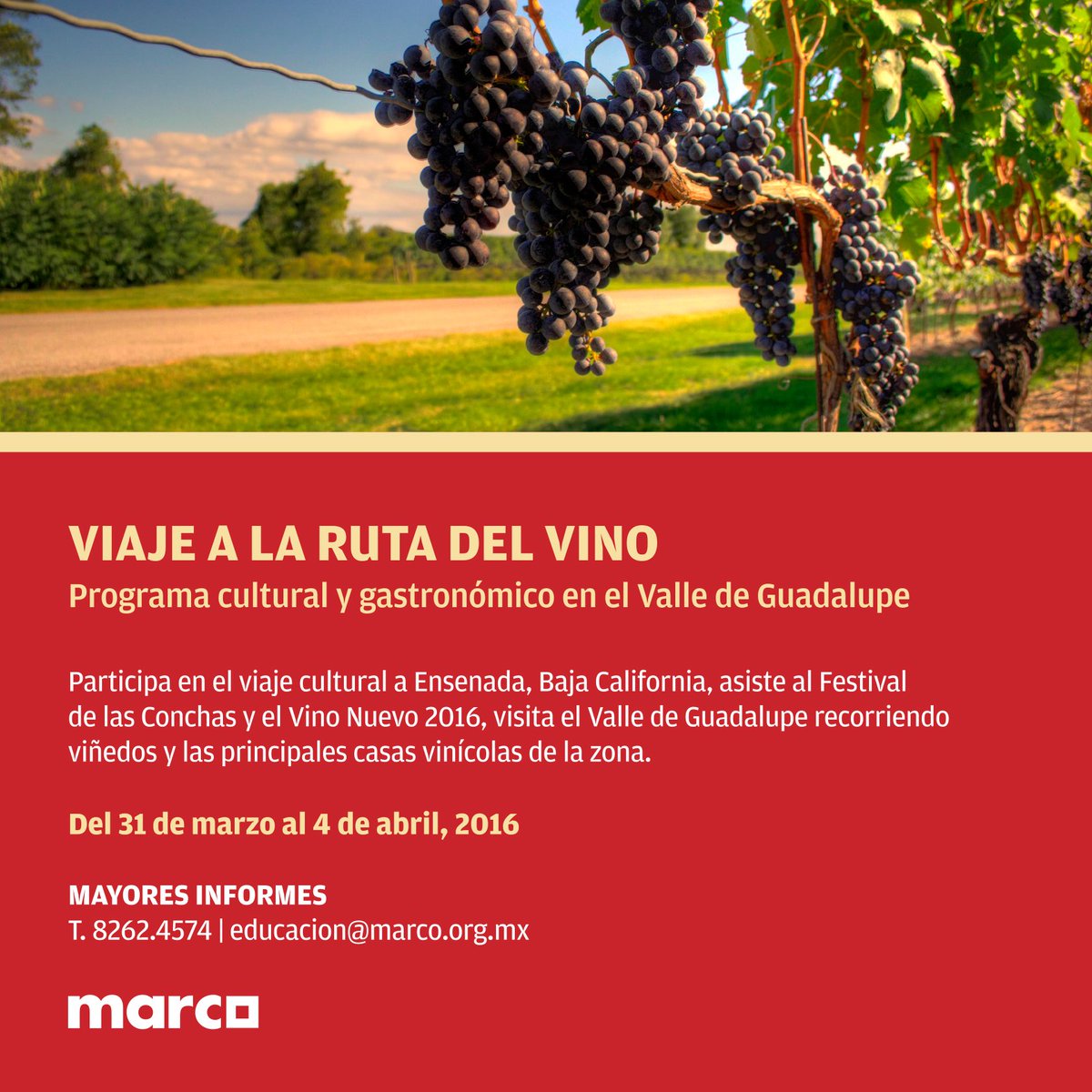 MuseoMARCO's tweet photo. Viaja con nosotros a la ruta del vino.

#museoMARCO #Monterrey #Ensemada #BC https://t.co/fZVJkVNNfj
