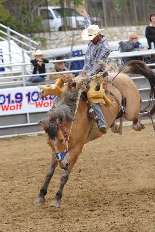 Ready to rodeo!  April 23-24, 2016 In Auburn, CA.  Tickets on sale now at GoldCountryProRodeo.com