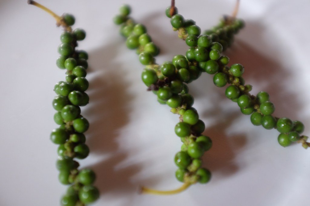 TorontoFoodLab's tweet image. Guest blog post by Nigel Biggar: Decoding Trends at the International Spice Conference 2016… torontofoodlab.com/2016/02/17/gue…