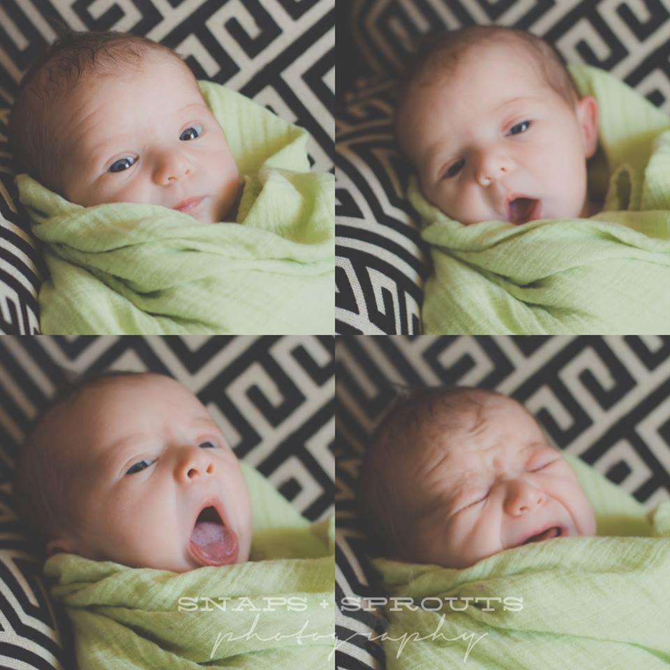 JennatSSP's tweet photo. Miss Joey is ONE! https://t.co/L1D5Z3YiRk https://t.co/P4Is73Y3rv https://t.co/Z8squ4og0o