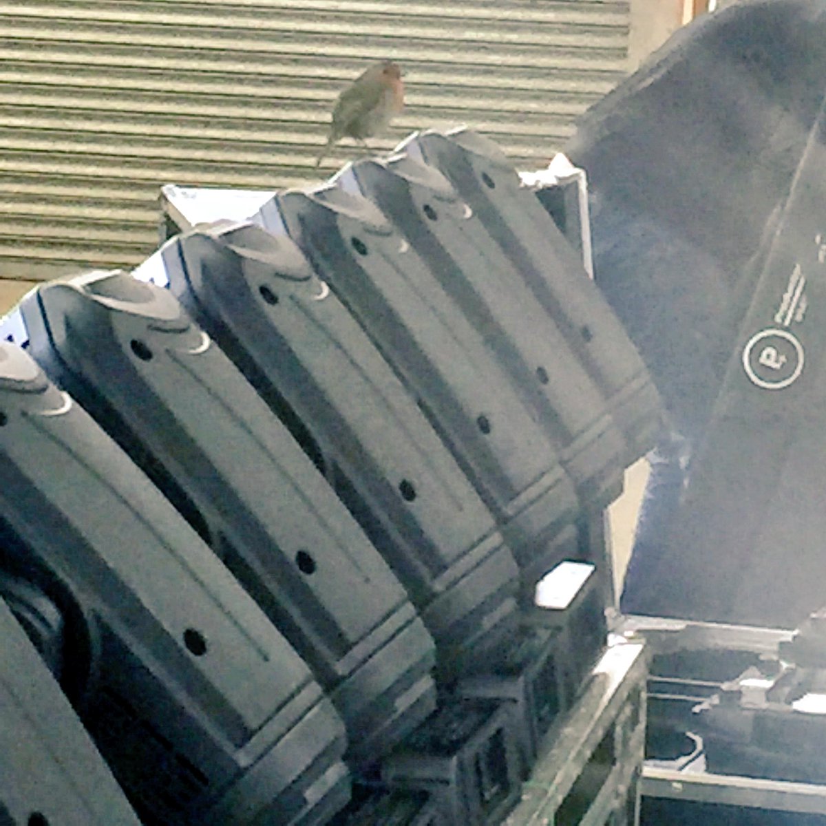 Production_Plus's tweet photo. The local red breasted robin is making friends with our @Robelighting Robin Pointe units! #RobinAndRobin https://t.co/n1hK3OdgIt