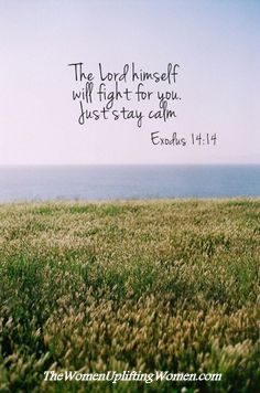 Mary Jean Marquez tweet media