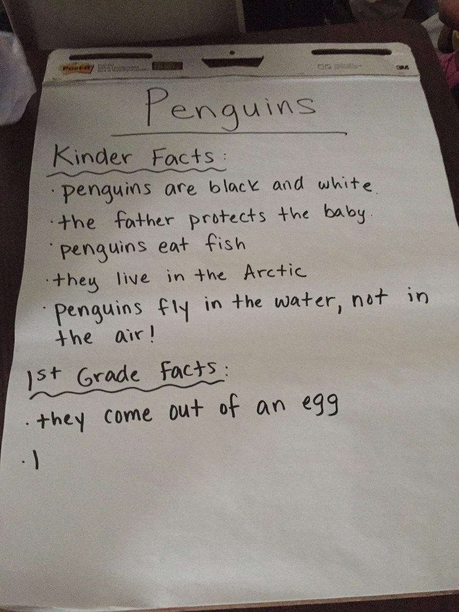 HallFletcherAVL's tweet photo. Skyping w/ Ms. Adams class share what we've learned about Penguins! @_learneveryday @ClaxtonElem #acsdlday #ncdlday https://t.co/lmRoxoHhB6