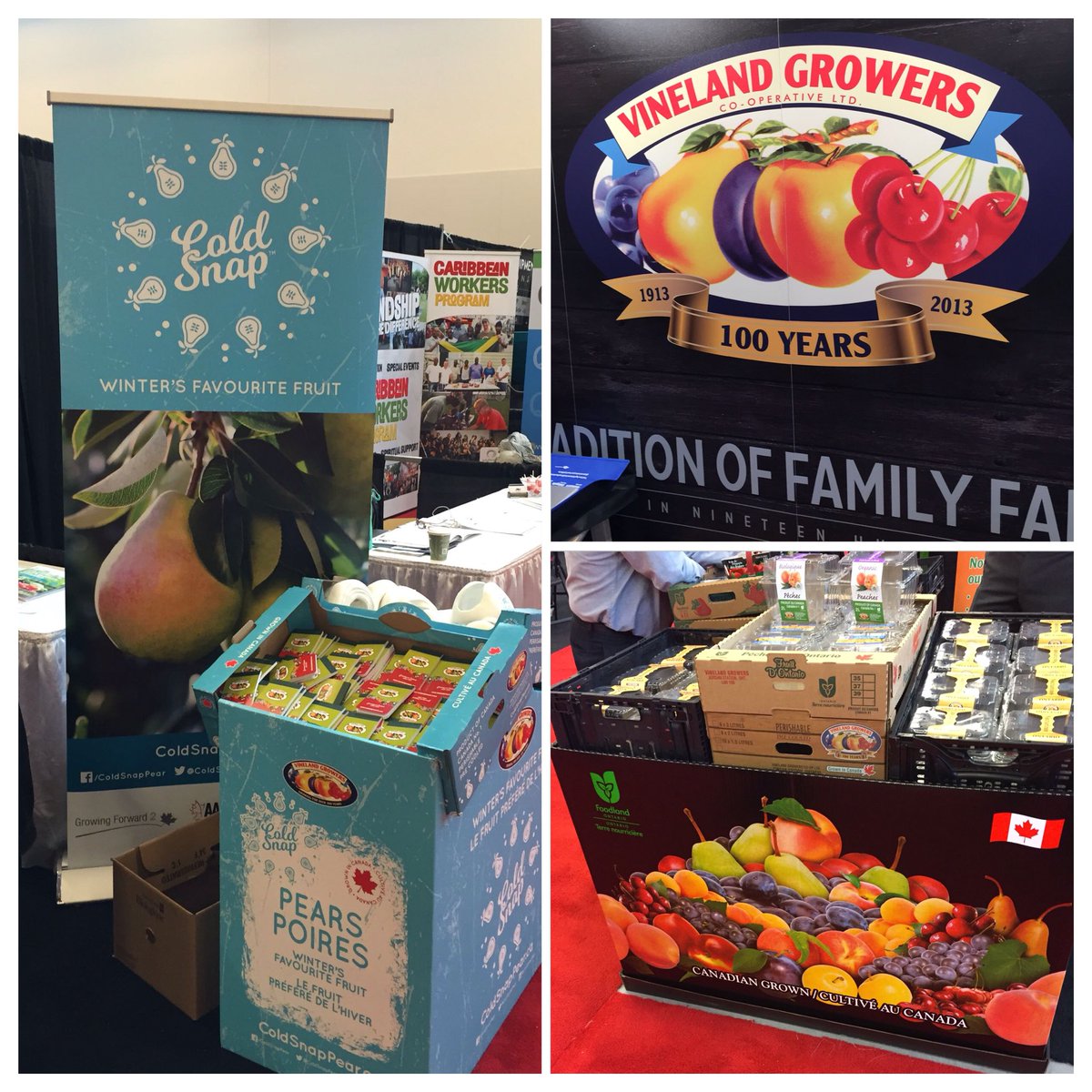 Vineland growers in the house at #OFVC2016 - see us at booth 709/711!