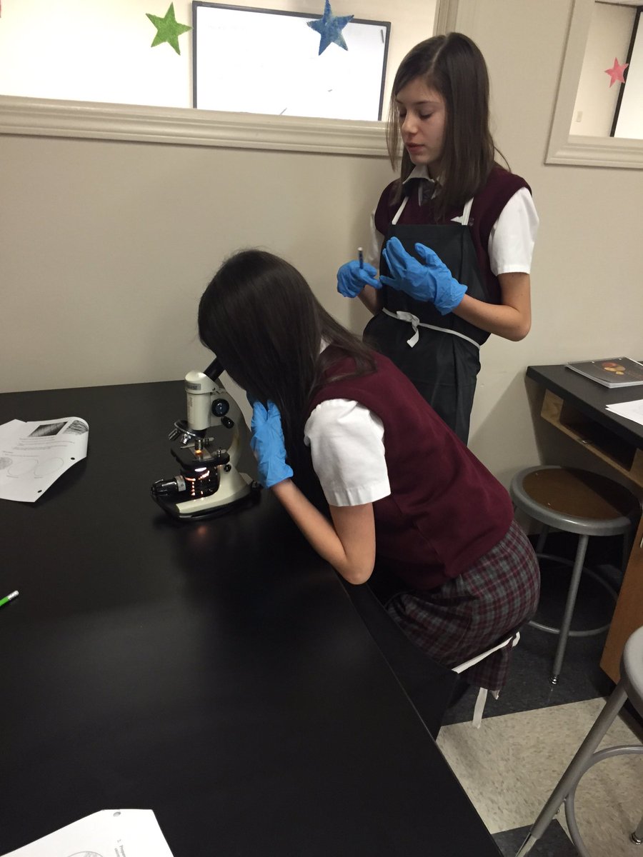 ms_irick's tweet photo. Awesome onion cell lab with Science 8! Great work using microscopes and finding the cell wall @rundleacademy https://t.co/q1aqO0gqly