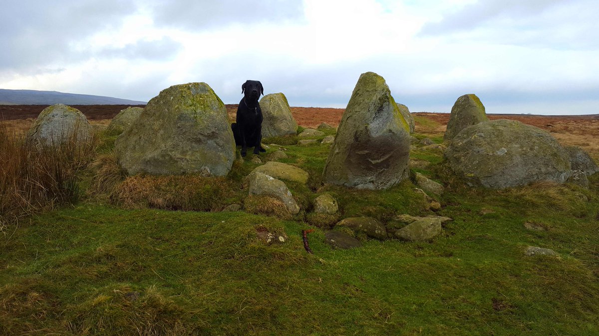 DramLakelandLab's tweet photo. #StoneCircle on Helton Fell 2day bit wet &amp; cold. @cumbriaisopen @NotJustLakes Hope @YanwathGate has fire on! https://t.co/sDpz5qfpCV