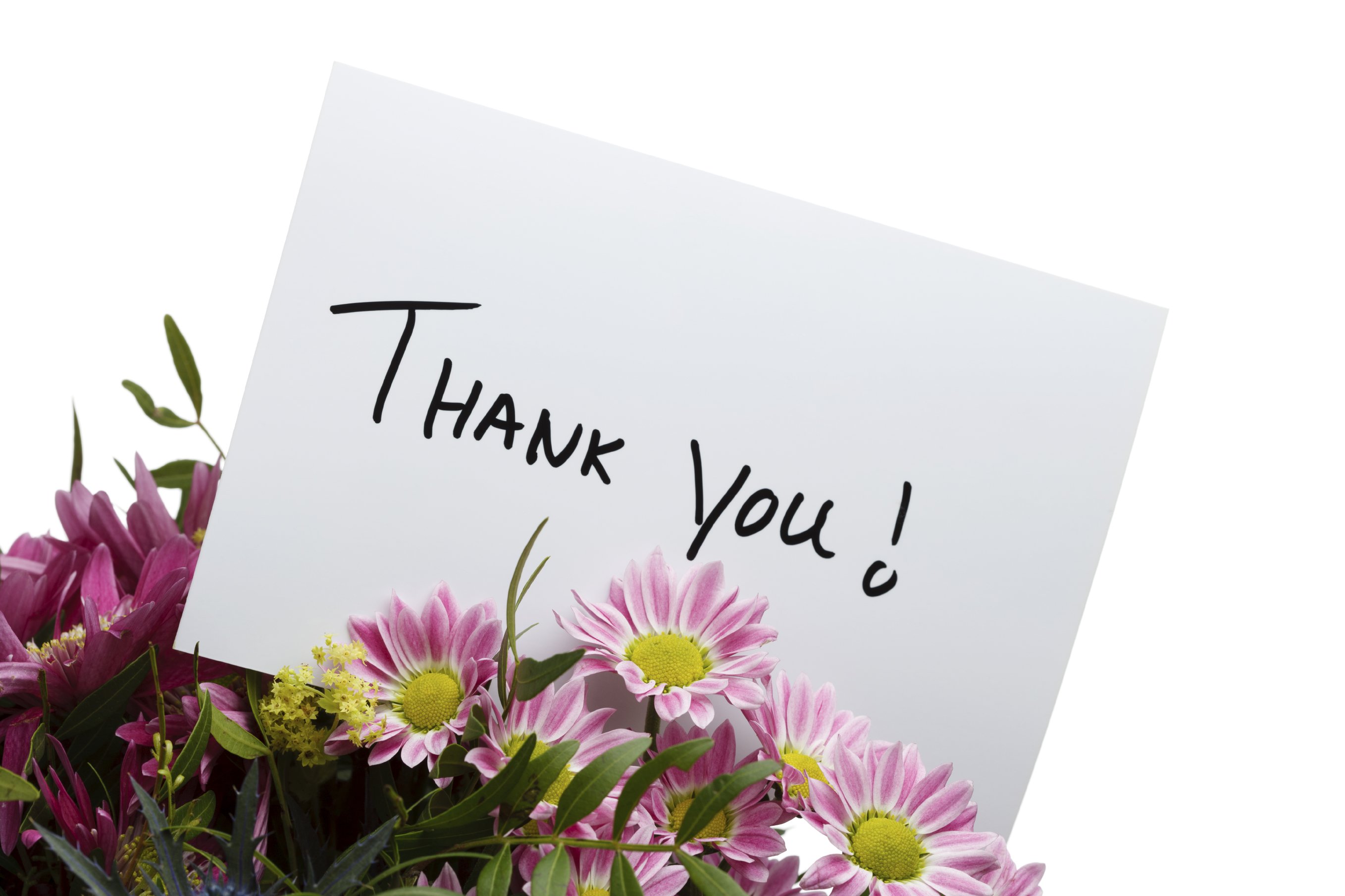 Thank you