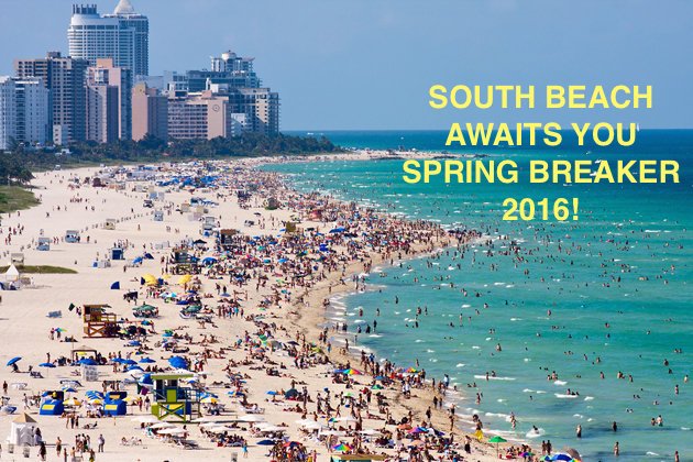 UseOliom's tweet image. Planning #SpringBreak 2016? Join us at #beautiful #MiamiBeach ! more #Miami #beaches #love @ oliom.com/4SB2016