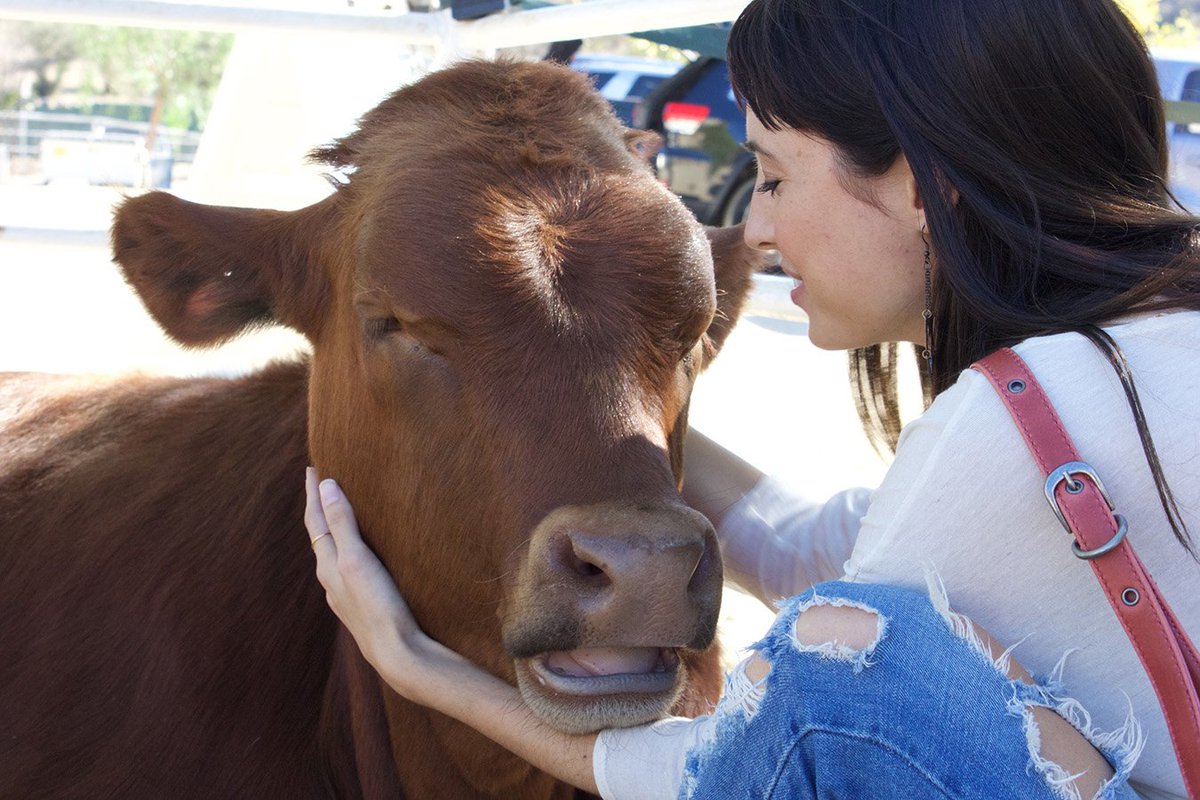 peta's tweet photo. Be kind to animals for #RandomActsOfKindnessDay ❤️ https://t.co/7Uvh9fp3WE