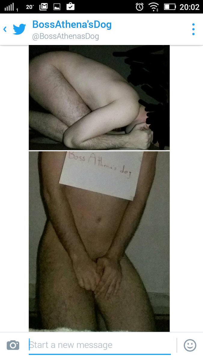 BossAthena's tweet photo. My dog never fails to do his daily task! #findomme @RTpig @BossAthenasDog @slave5678 @RTfucker @SixFootSex https://t.co/AmWC1liuXm