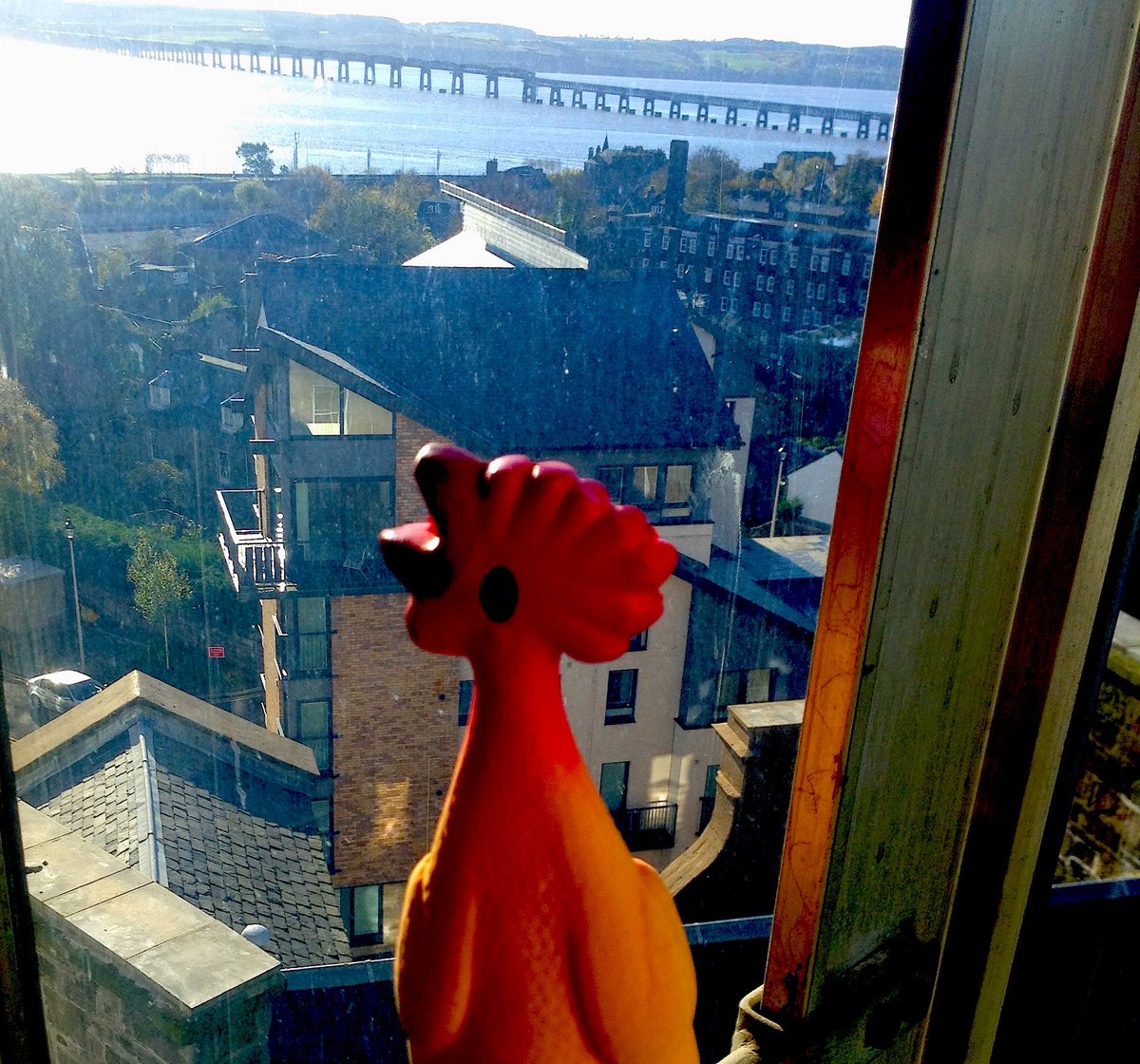 GSJDundee's tweet photo. Rubber chickens over the silvery Tay?
This can only mean one thing
The jam. Join us

#GSJam
https://t.co/H5OrovU3wo https://t.co/mDZAFtswQQ
