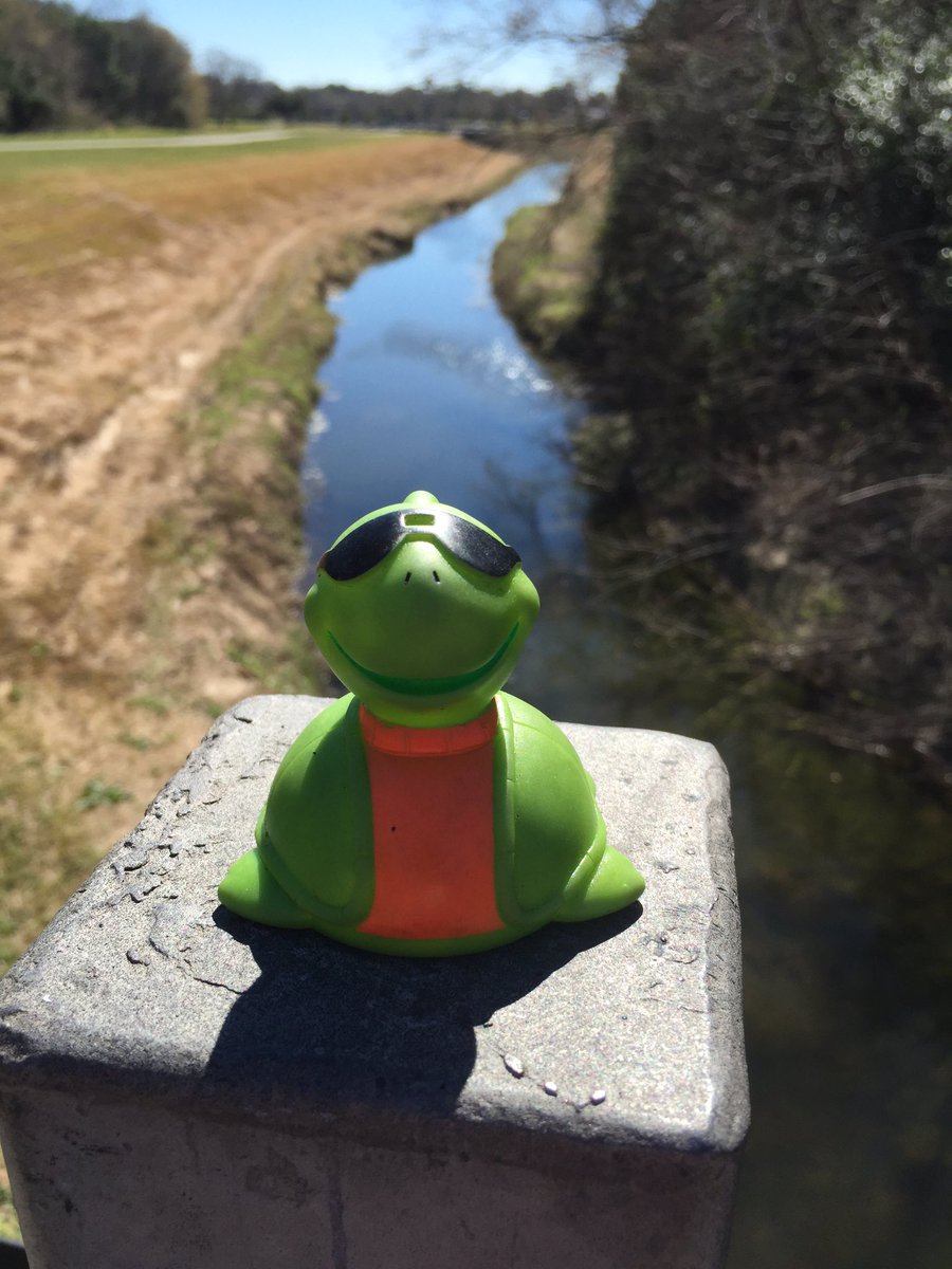 I'm here at the bayou getting in a practice run before the race Saturday. Hope your turtles have been practicing!