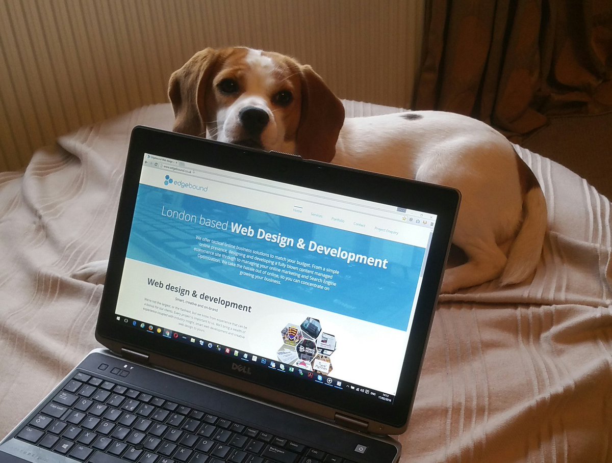 charleyswoof's tweet image. Been busy helping dad work from home today. Must be time for a walk now. #wfh @Edgebound